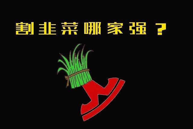 投资充电桩赚钱吗（充电桩割韭菜哪家强？）