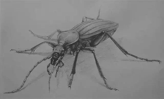 零基础画画（水彩教程｜水彩教程（一））