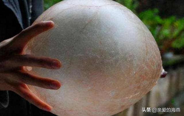 拿回家做手工活（农村孩子的童年玩具，你还记得多少）