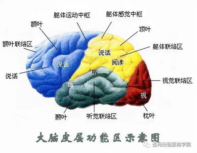 电脑怎么更新（人和计算机有什么区别？）