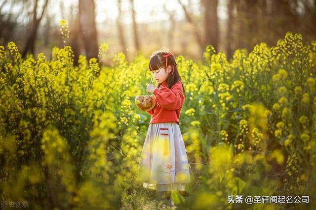 属虎的名字（属虎女孩不容错过的古风美名大全）
