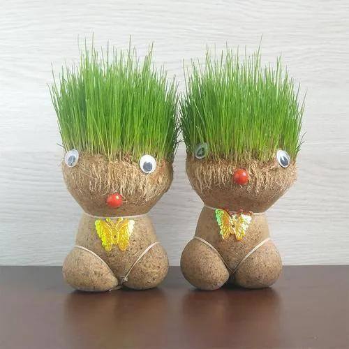 农村好项目（农村草头娃娃的赚钱方法）