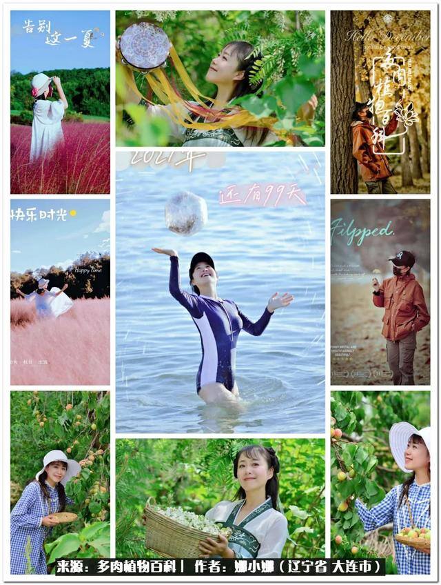 七彩糯糯摆摊挣钱吗（【娜小娜的生活日记】）