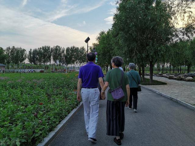 50岁的女人适合做什么工作（如果是你退休了，你的规划是什么？）