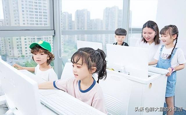 儿童教育加盟好项目（小码添才少儿编程教育加盟）