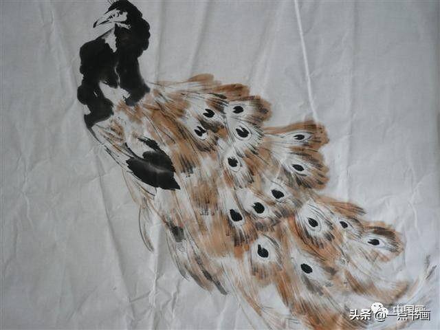 漂亮的孔雀怎么画（孔雀的基本技法）