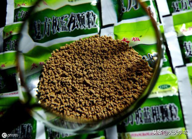 种植药材哪个最赚钱（种植什么药材赚钱多）