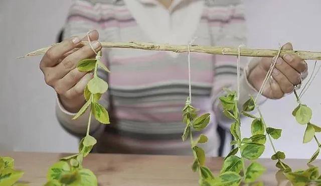 废物利用手工制作简单（废旧的灯泡也能养花？教你一招，让家里变得更美！）