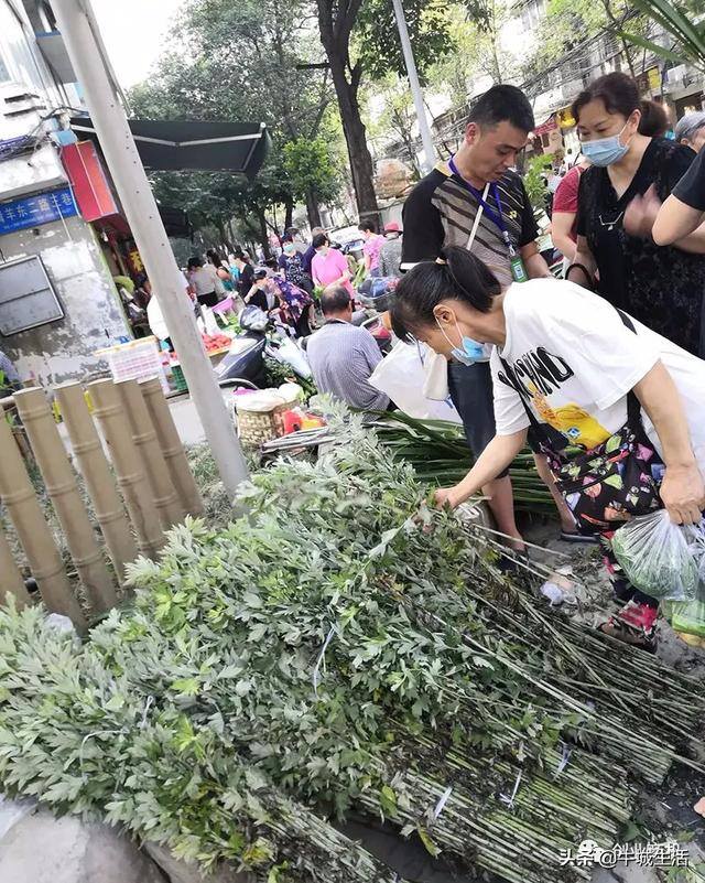 菜市场冷门商机（广西老板下乡大量收购粽叶，年赚100万）