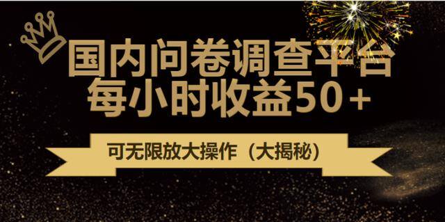 调查问卷赚钱app（有什么副业项目新手小白也可以做？）