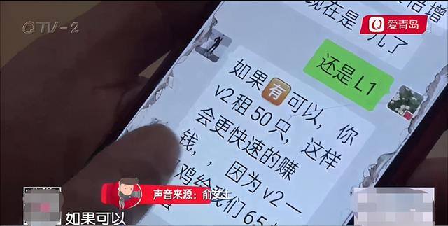 欣隆项目投资靠谱吗（投资鸡蛋赚钱的魔力）