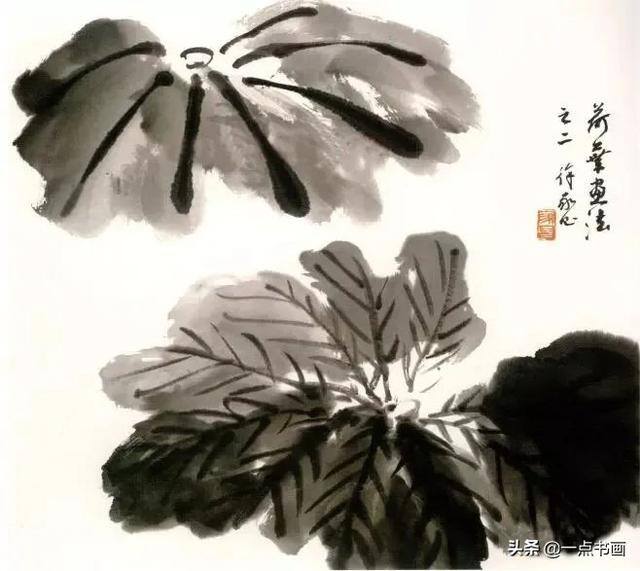 荷花怎么画漂亮又复杂（写意荷花的画法）