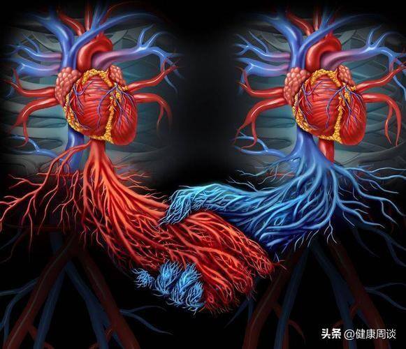 捐器官可以得到多少钱（为何捐献无偿，器官移植却要收费？）