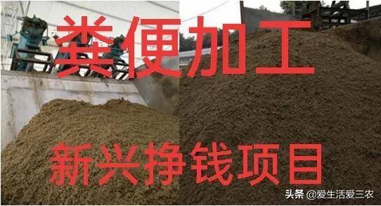 开厂做什么项目好（在农村开一家辣椒制品加工厂是否可行）