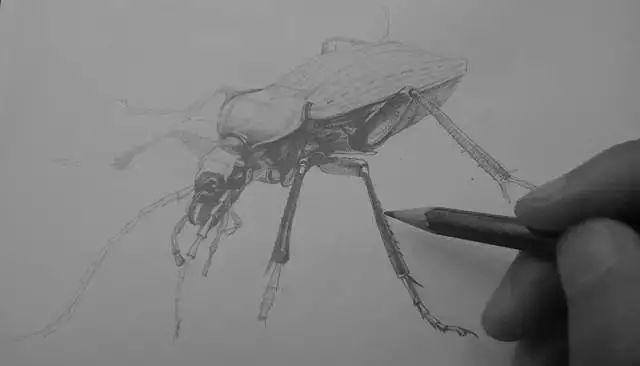 零基础画画（水彩教程｜水彩教程（一））