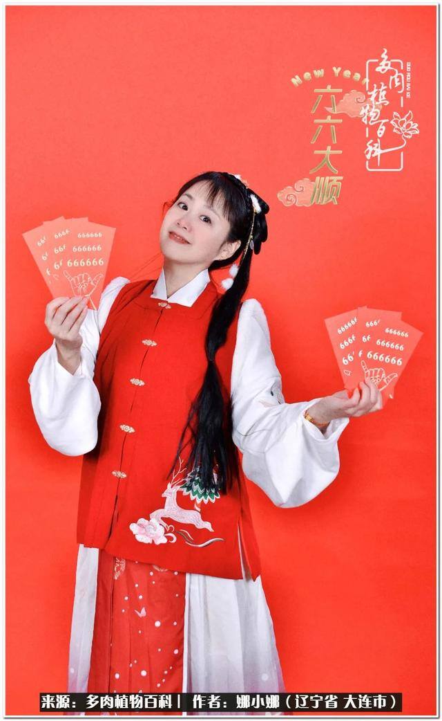 七彩糯糯摆摊挣钱吗（【娜小娜的生活日记】）