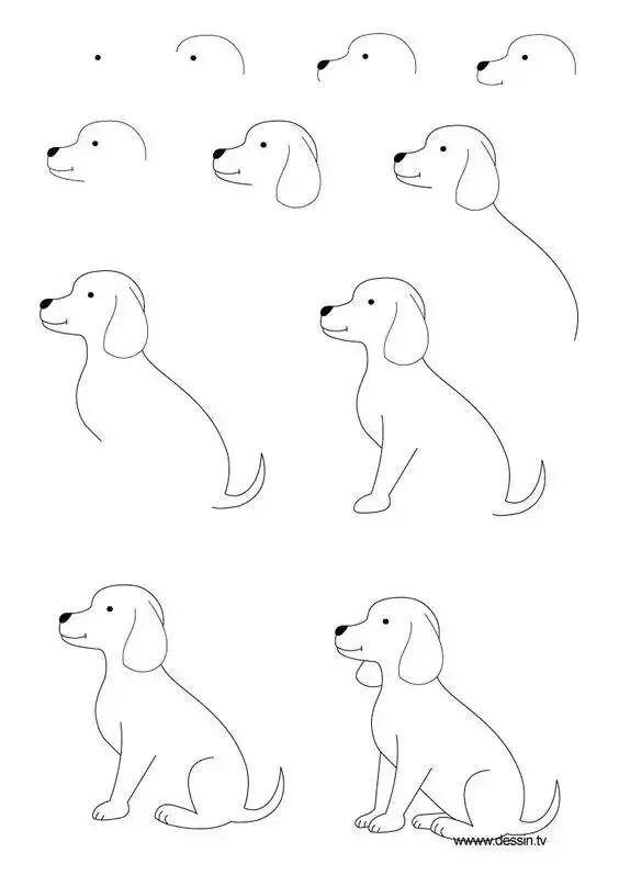 零基础画画（水彩教程｜水彩教程（一））