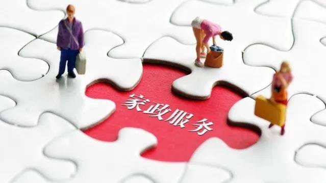 开家政公司要怎么入手（开一家家政公司是怎样的体验？）