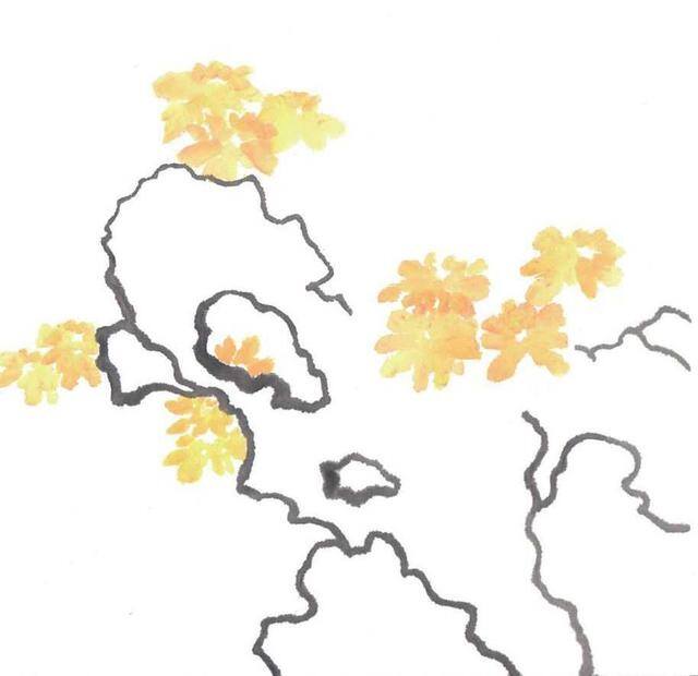 绘画技法教程（菊花的绘画技法）