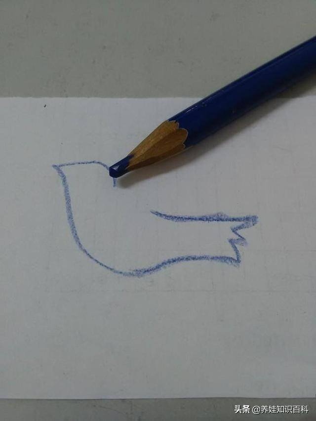 鸽子怎么画简单又好看（和平鸽怎么画？按照这个步骤，一分钟就可以学会）