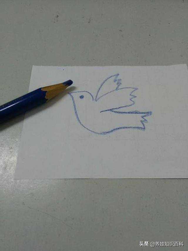 鸽子怎么画简单又好看（和平鸽怎么画？按照这个步骤，一分钟就可以学会）
