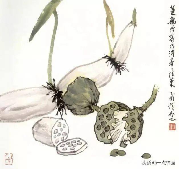 荷花怎么画漂亮又复杂（写意荷花的画法）