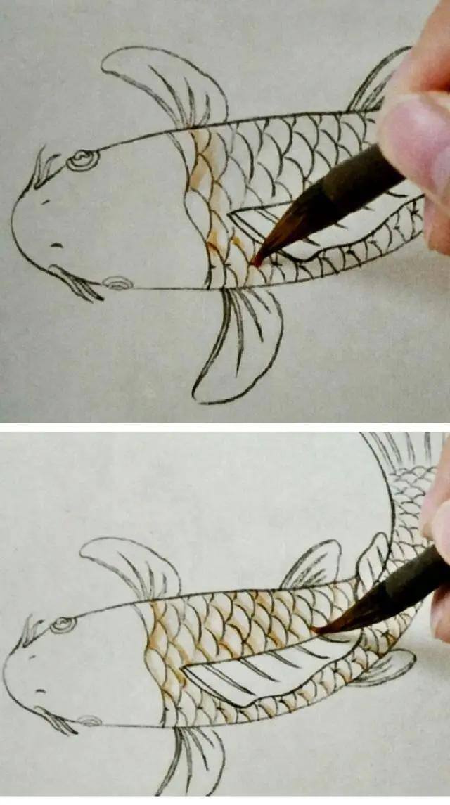 水墨画怎么画简单又漂亮（锦鲤鱼的画法）