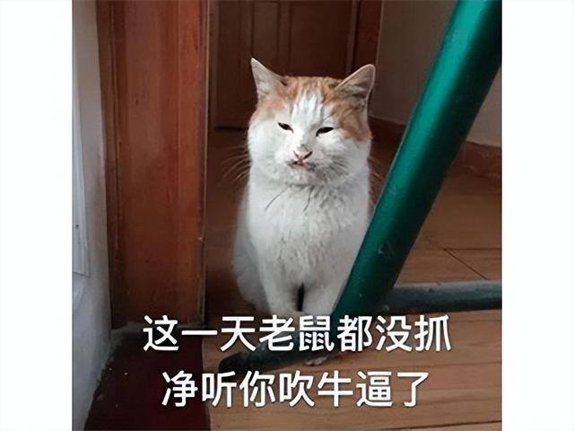 手机游戏赚钱最快的（《原神》年度流水估值304亿）