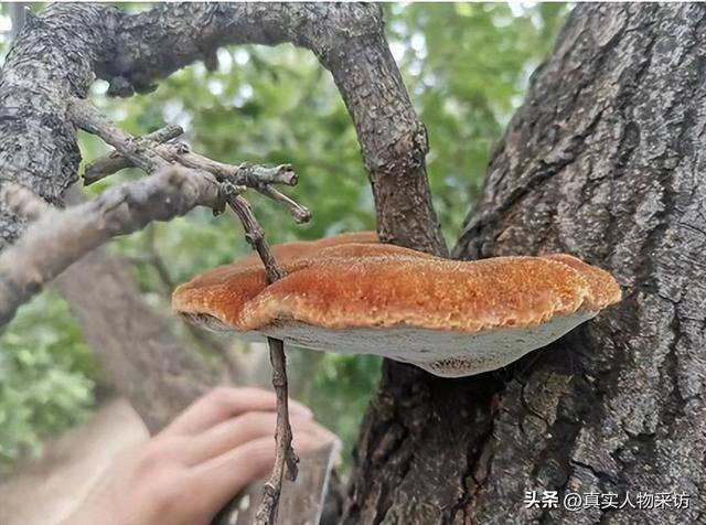 没有学历在北京做什么挣钱多（我的当兵故事）