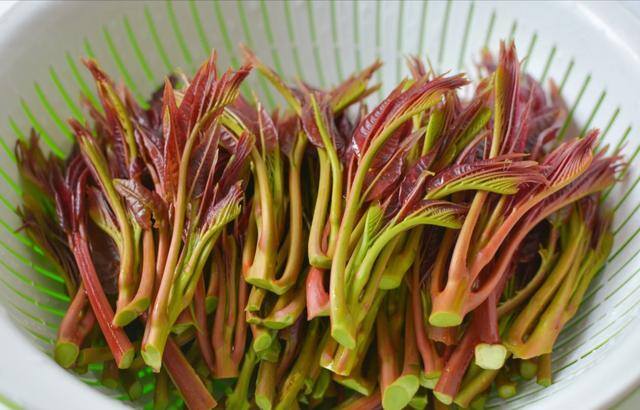 农村常见中草药300种（春天吃什么野菜？）