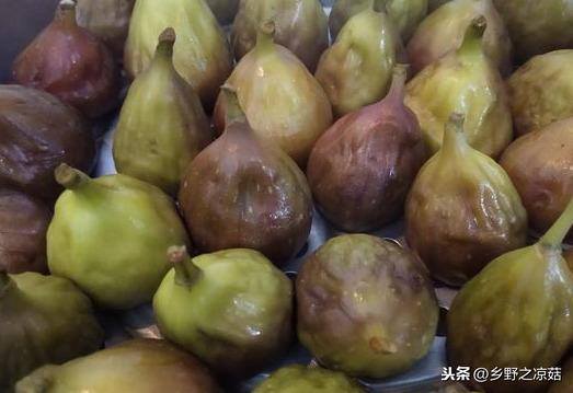 家庭自制无花果干（无花果干怎么做好吃？）