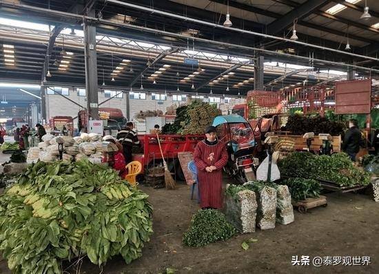 在菜市场做什么生意比较赚钱（蔬菜生意背后的赚钱门道）