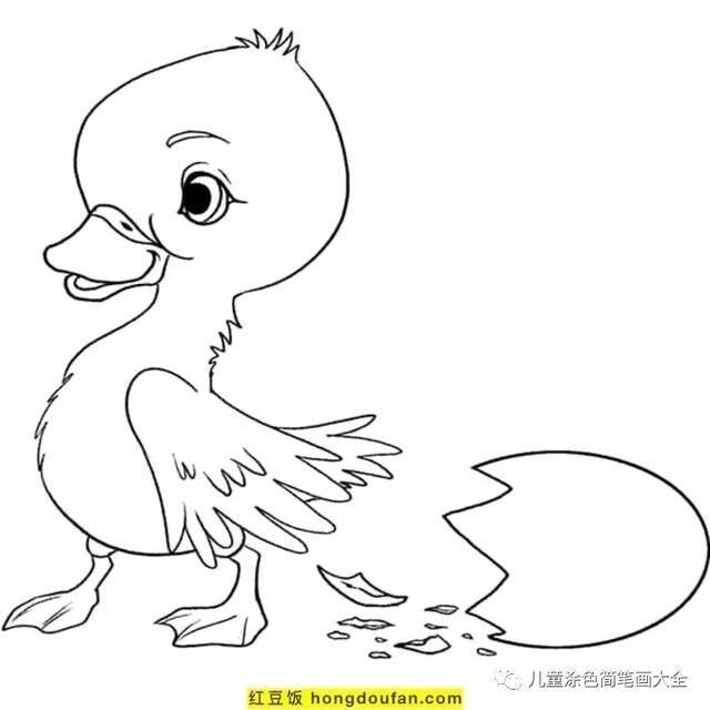 关于夏天的画简单好看（《我的世界》电影海报鸭子着色页）