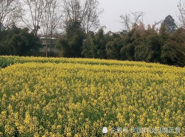 有家地方没工作整句话（现在的农村，真的是你想象的样子吗？）