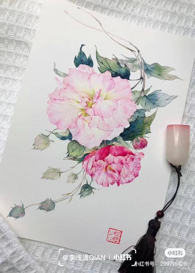 花朵怎么画最漂亮（中国风水彩花卉插画｜李浅浅qian）