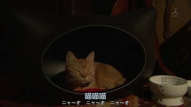 怎样攒钱最快最有效6个方法（2022年你花的最有意义的一笔钱是什么？）