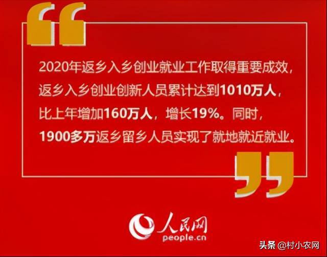 在农村养什么最赚钱（农村返乡创业，到底养啥最赚钱？）