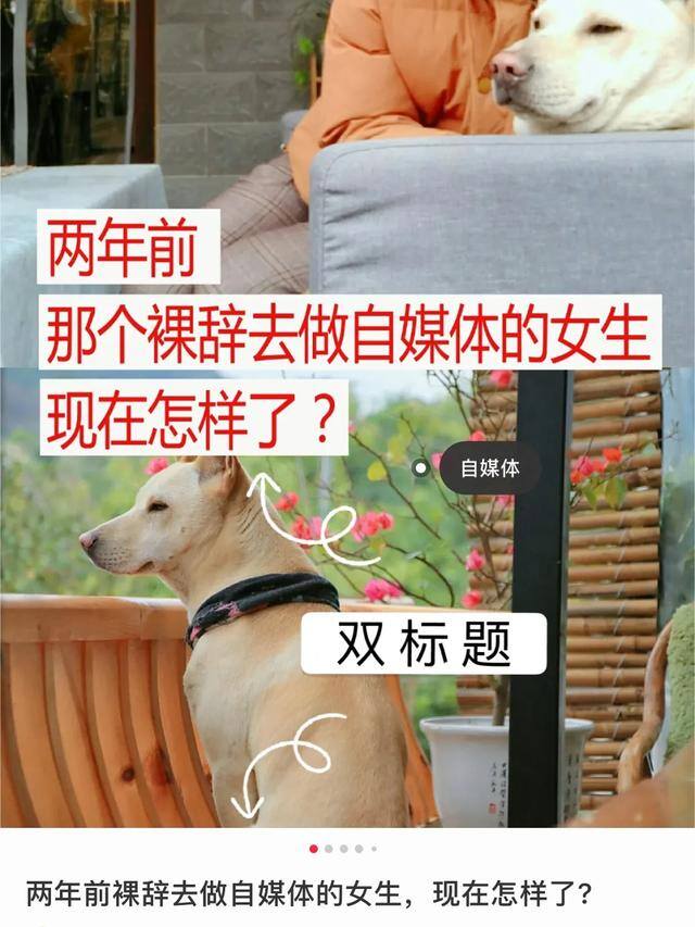 小红书多少粉丝能赚钱（自媒体人如何快速涨粉）
