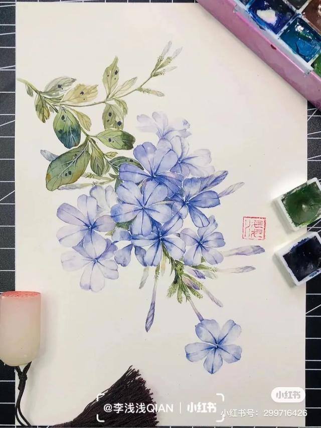 花朵怎么画最漂亮（中国风水彩花卉插画｜李浅浅qian）