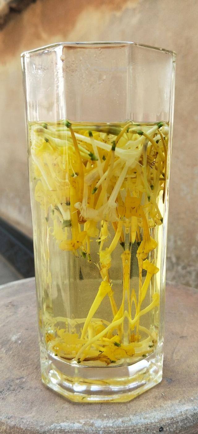 庭院花卉种植品种（最香的几种花卉植物）