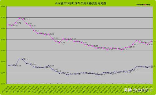 合同鸭5000只一批能赚多少钱（2017年10月7日养猪行情分析）