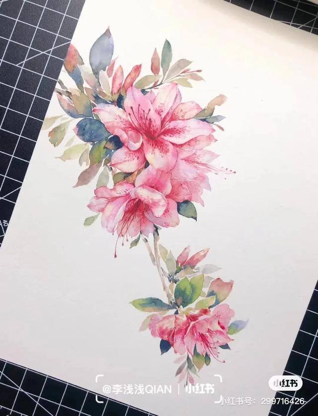 花朵怎么画最漂亮（中国风水彩花卉插画｜李浅浅qian）