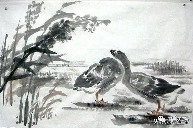 大雁怎么画简单又好看（飞鸿的各种姿态）