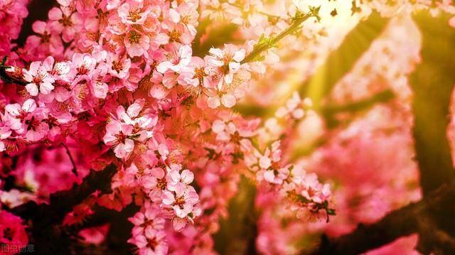 小本生意开什么店比较好（5到10万块就可以启动的高利润小生意，直接上干货！）