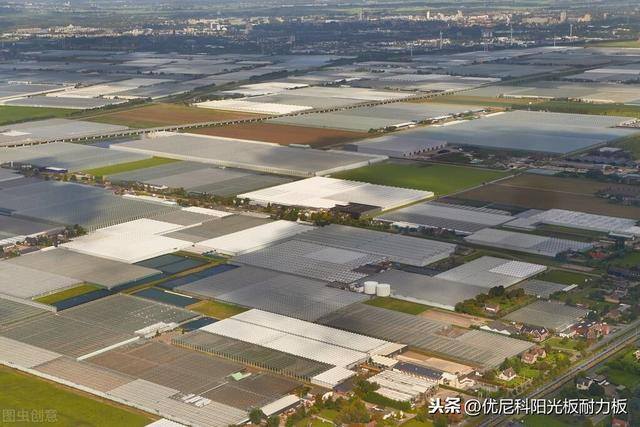 泥鳅大棚养殖技术（日光温室泥鳅养殖技术）