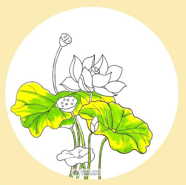 草怎么画简单又漂亮（水彩荷花的创作方法）