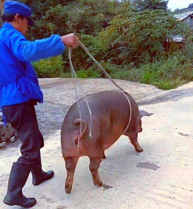 小学生赚钱软件（云南一小学给学生发奖金，学生们都无法自己拿回家）