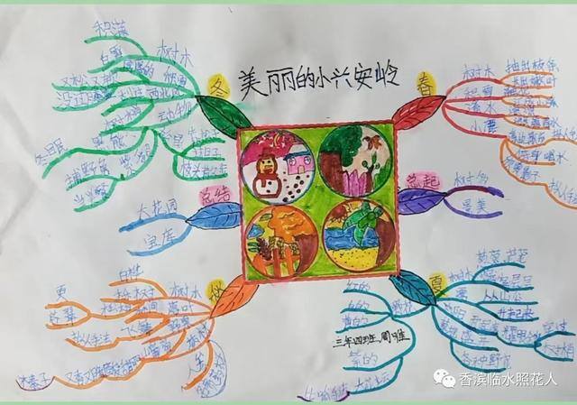 三年级绘画作品（思维导图画作文——这儿真美（二十五））