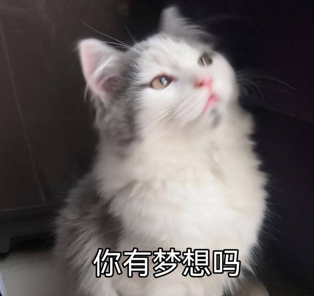 宝妈兼职网在家工作（适合宝妈的副业）