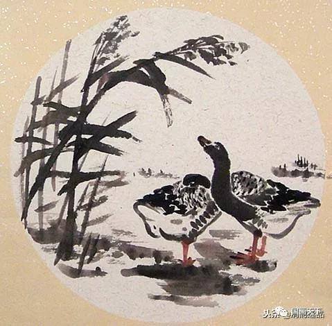 大雁怎么画简单又好看（飞鸿的各种姿态）